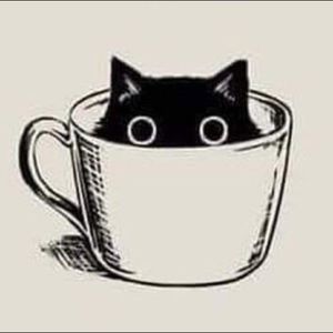 Meet your Posher, Macy